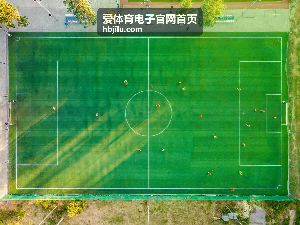 爱体育电子官网首页 游泳触板计时系统 SW-30